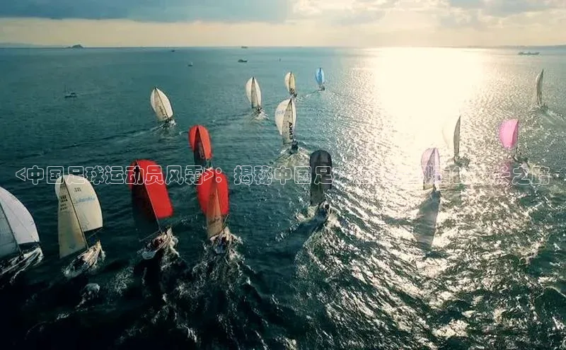 2121非凡体育娱乐入口猫眼<中国足球运动员风霜>：揭秘中国足球运动员风霜的成长之路
