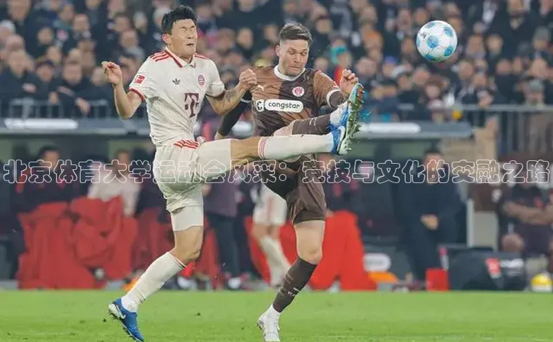 2121非凡足球网页版百度学术北京体育大学运动会风采：竞技与文化的交融之路