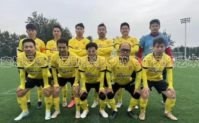 空域盛宴：运动赛事中的飞行表演艺术