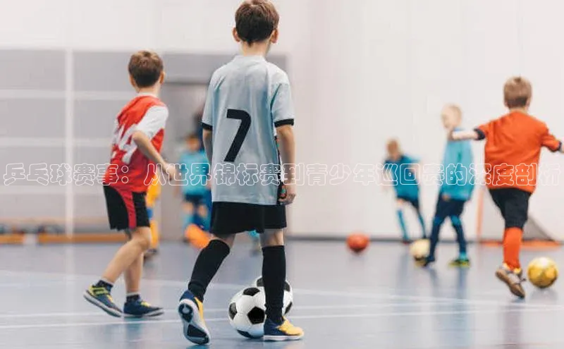 乒乓球赛事：从世界锦标赛到青少年巡回赛的深度剖析
