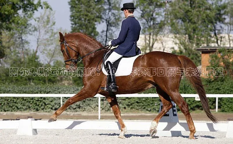 阿尔卑斯运动的巅峰：2023年赛事回顾与未来展望