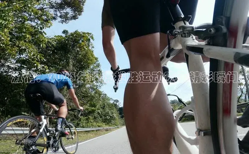 激情：2023年路虎揽胜运动赛事精彩瞬间